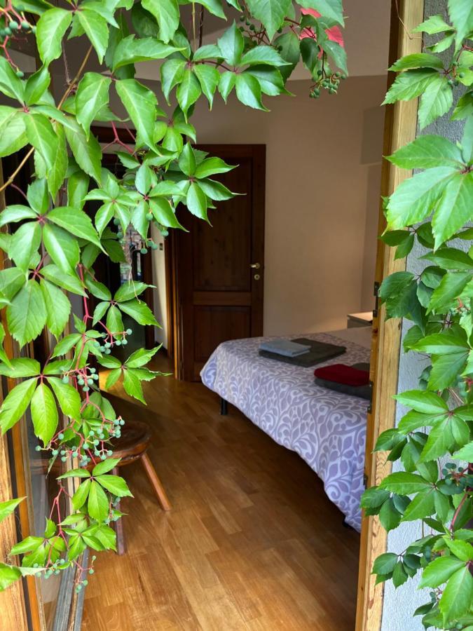 Chalet Blanc "Le Flocon" Courmayeur Kültér fotó