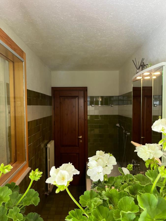 Chalet Blanc "Le Flocon" Courmayeur Kültér fotó