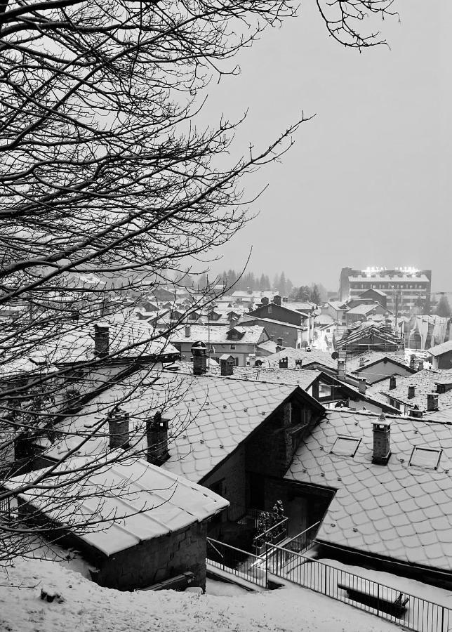 Chalet Blanc "Le Flocon" Courmayeur Kültér fotó
