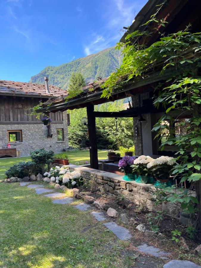 Chalet Blanc "Le Flocon" Courmayeur Kültér fotó