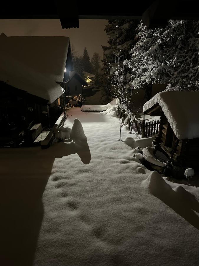 Chalet Blanc "Le Flocon" Courmayeur Kültér fotó